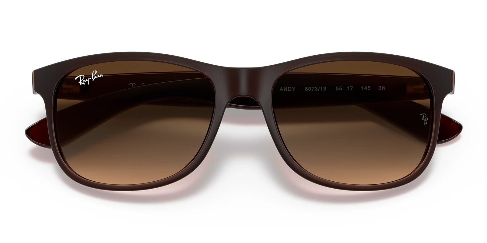 RayBan RB4202-Brown / Brown Gradient