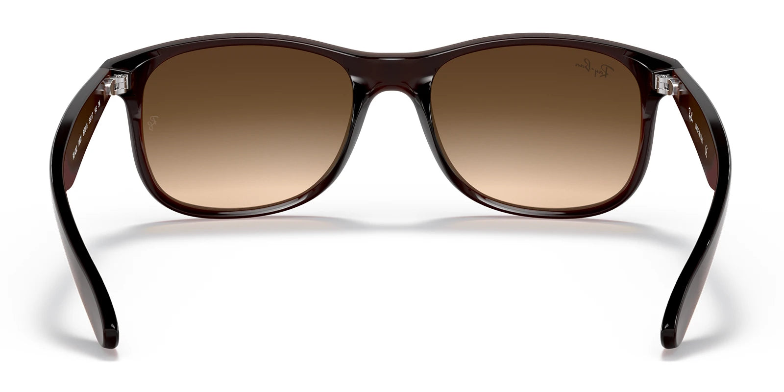 RayBan RB4202-Brown / Brown Gradient