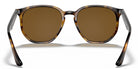RayBan RB4306-Tortoise / Brown Polarized