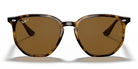 RayBan RB4306-Tortoise / Brown Polarized