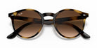 Ray Ban RB9064-Tortoise With Brown Lenses