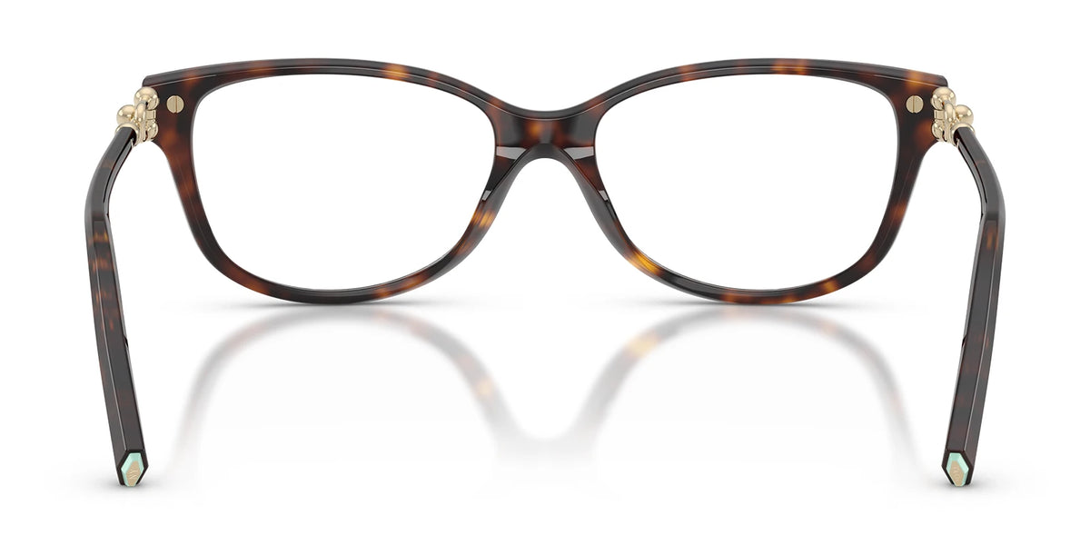 Tiffany TF2298-Tortoise
