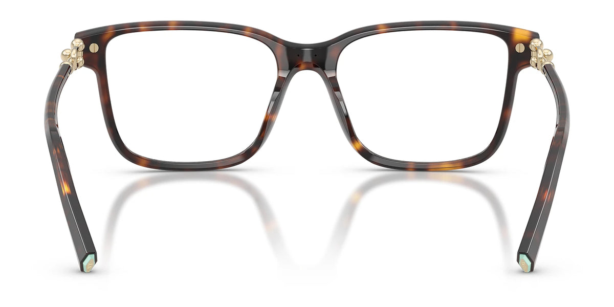 Tiffany TF2299-Tortoise