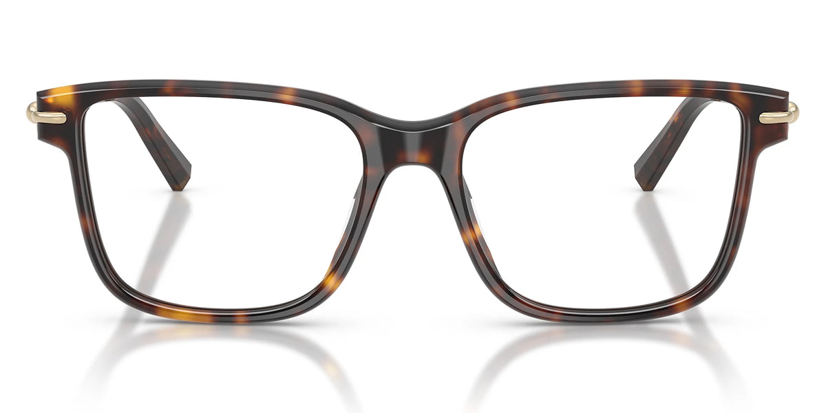 Tiffany TF2299-Tortoise