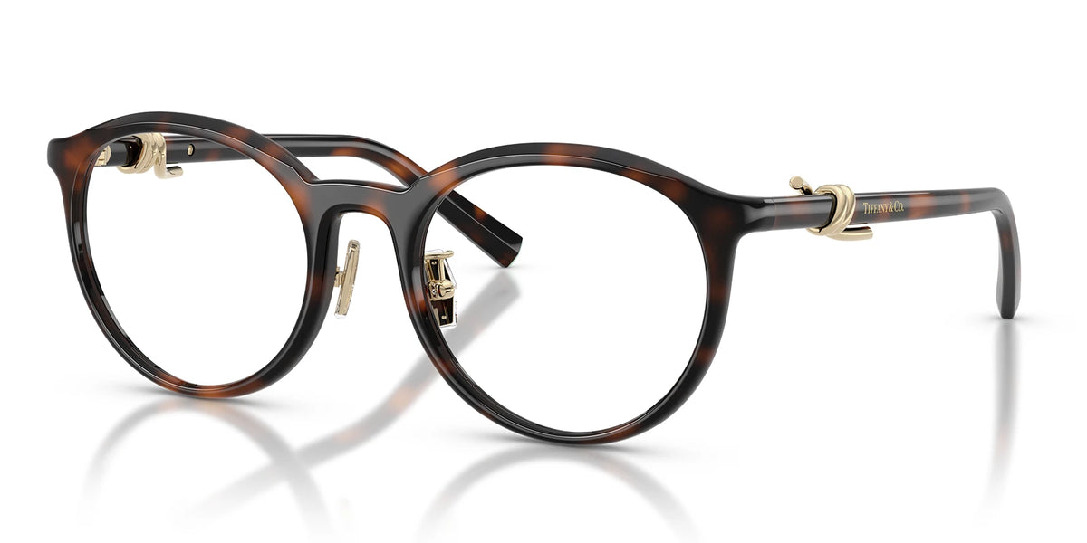 Tiffany TF2304-Tortoise