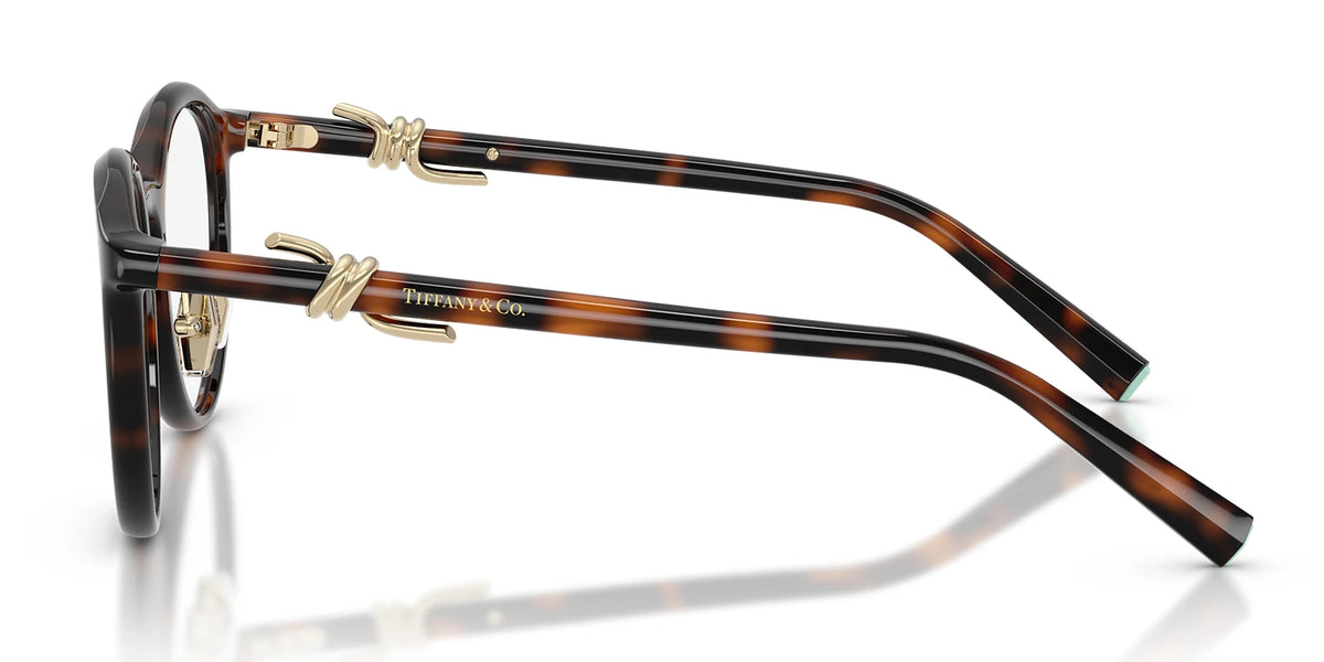 Tiffany TF2304-Tortoise