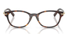 Tiffany TF2305-Tortoise