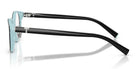 Tiffany TF2306-Shiny Black