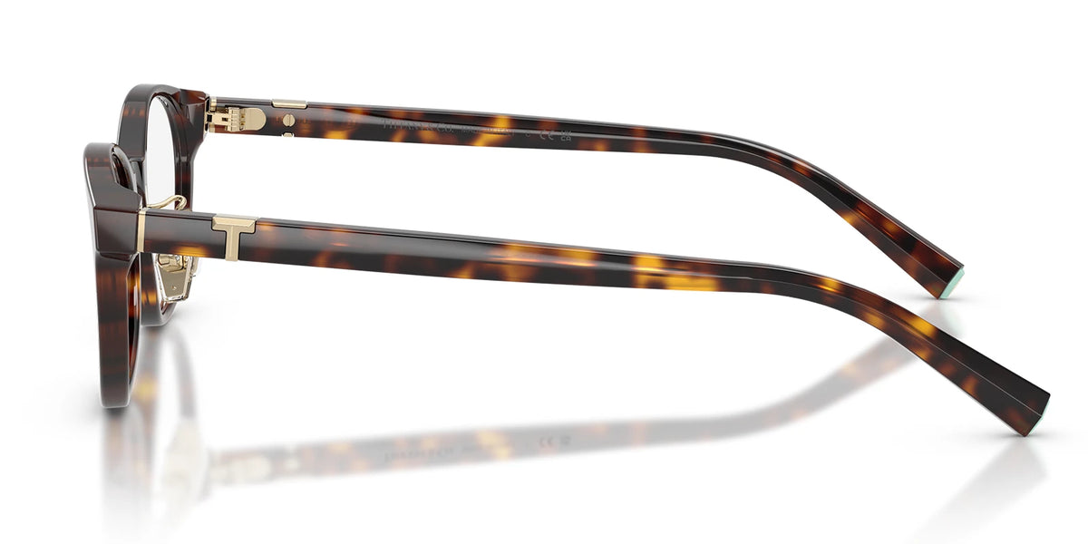 Tiffany TF2306-Tortoise