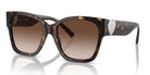 Tiffany TF4216-Tortoise / Brown Gradient