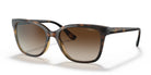 VOUGE VO5426-Tortoise / Brown Gradient