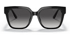 Michael Kors MK2170-Black With Grey Lenses