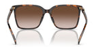 Michael Kors MK2197-Tortoise / Brown Gradient