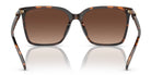 Michael Kors MK2197-Tortoise / Brown Polarized
